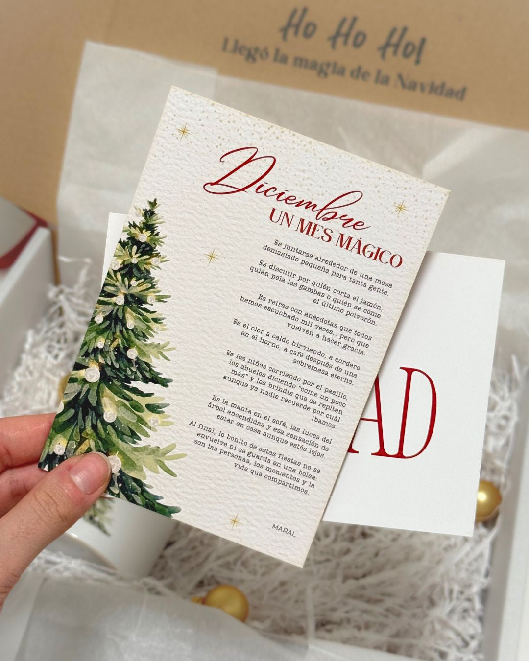 Packaging Navidad -  Edición Especial